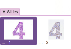 replacing slide names - slide drawer